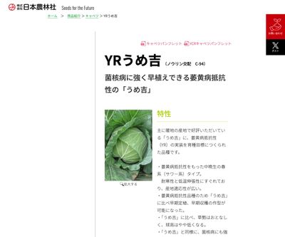 YRうめ吉の画像