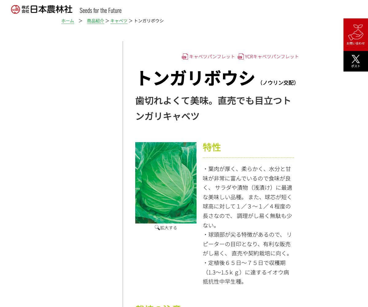 トンガリボウシ