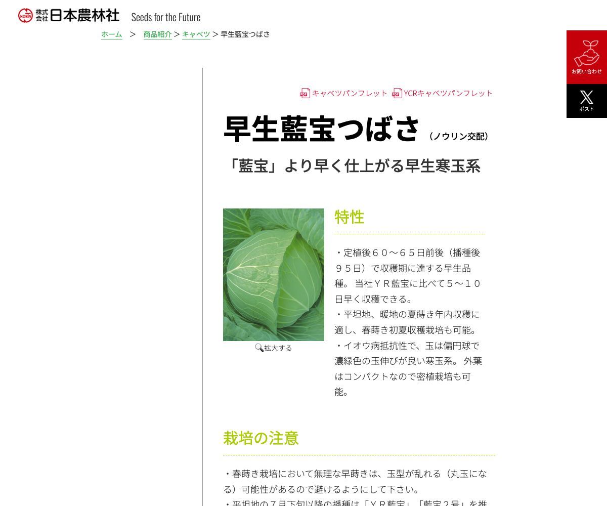 早生藍宝つばさ