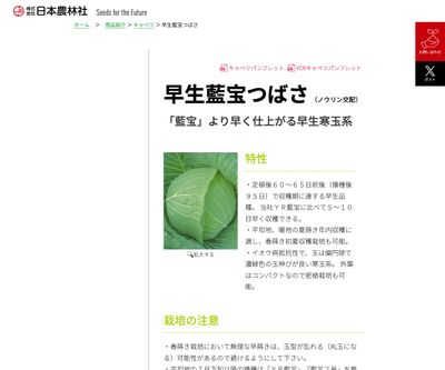 早生藍宝つばさの画像