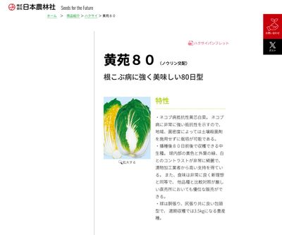 黄苑８０の画像