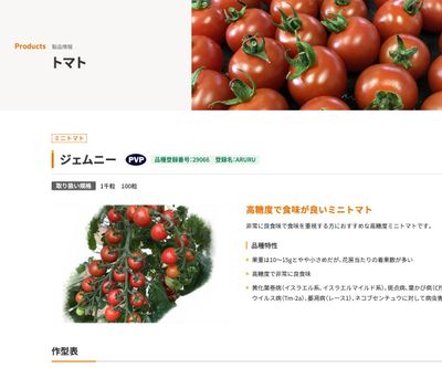 ジェムニーの画像