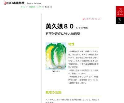 黄久娘８０の画像