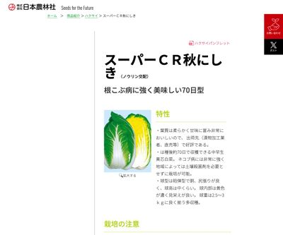 スーパーＣＲ秋にしきの画像