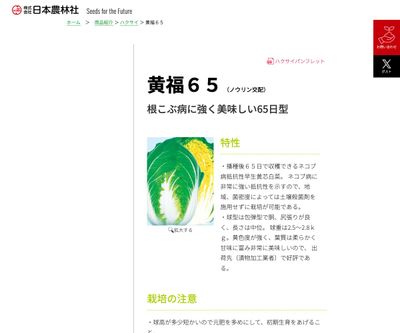 黄福６５の画像