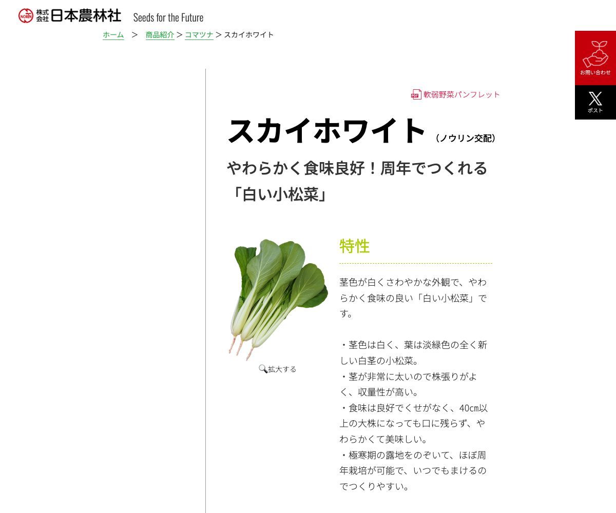 スカイホワイト