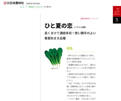 ひと夏の恋の画像