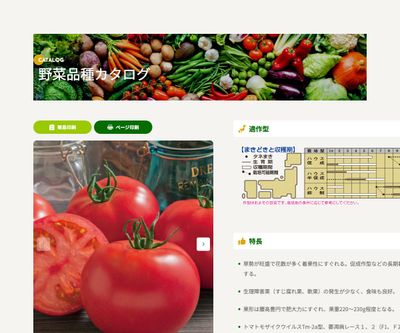 桃太郎ネクストの画像