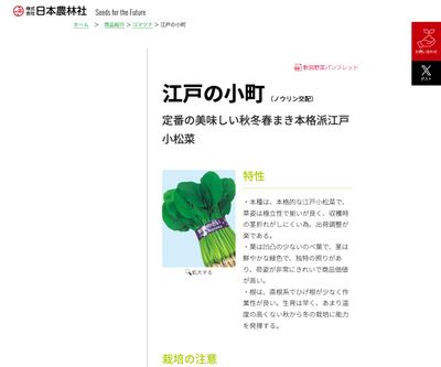 江戸の小町の画像