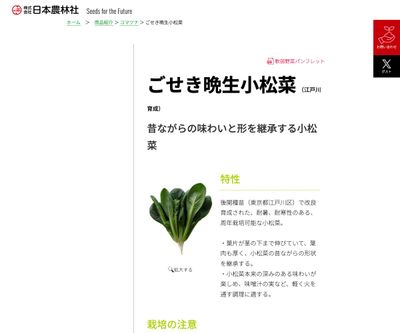 ごせき晩生小松菜の画像