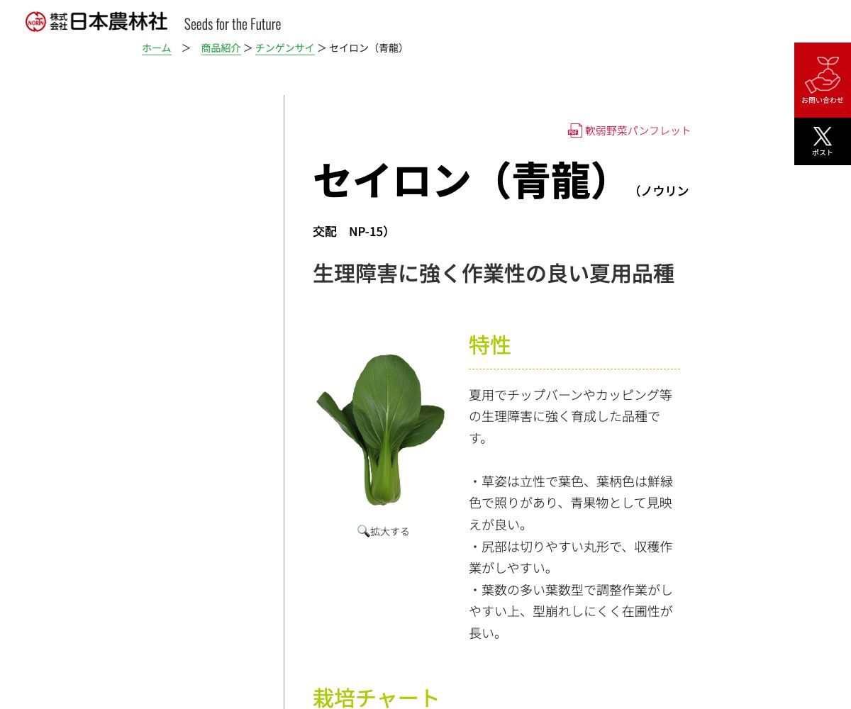 セイロン（青龍）