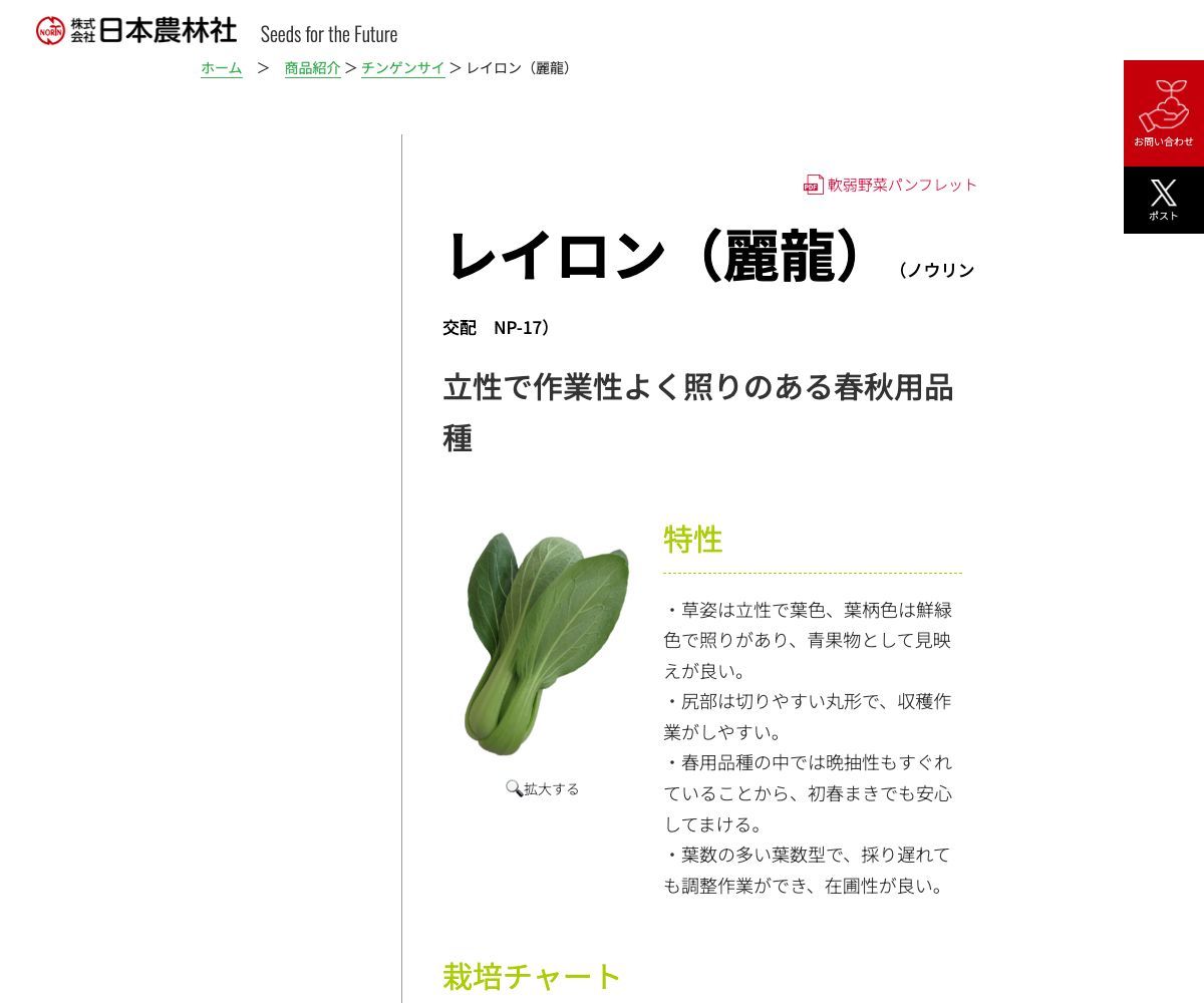 レイロン（麗龍）