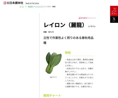 レイロン（麗龍）の画像