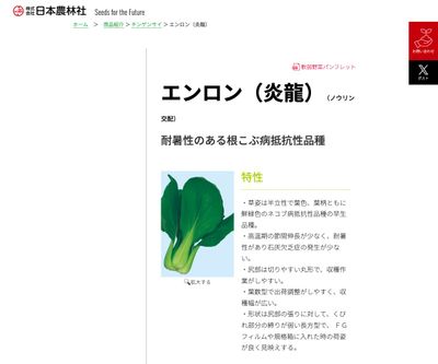 エンロン（炎龍）の画像