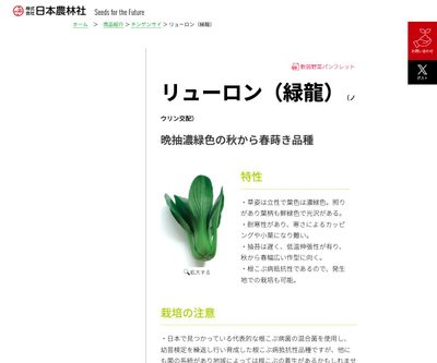 リューロン（緑龍）の画像