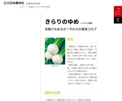 きらりのゆめの画像