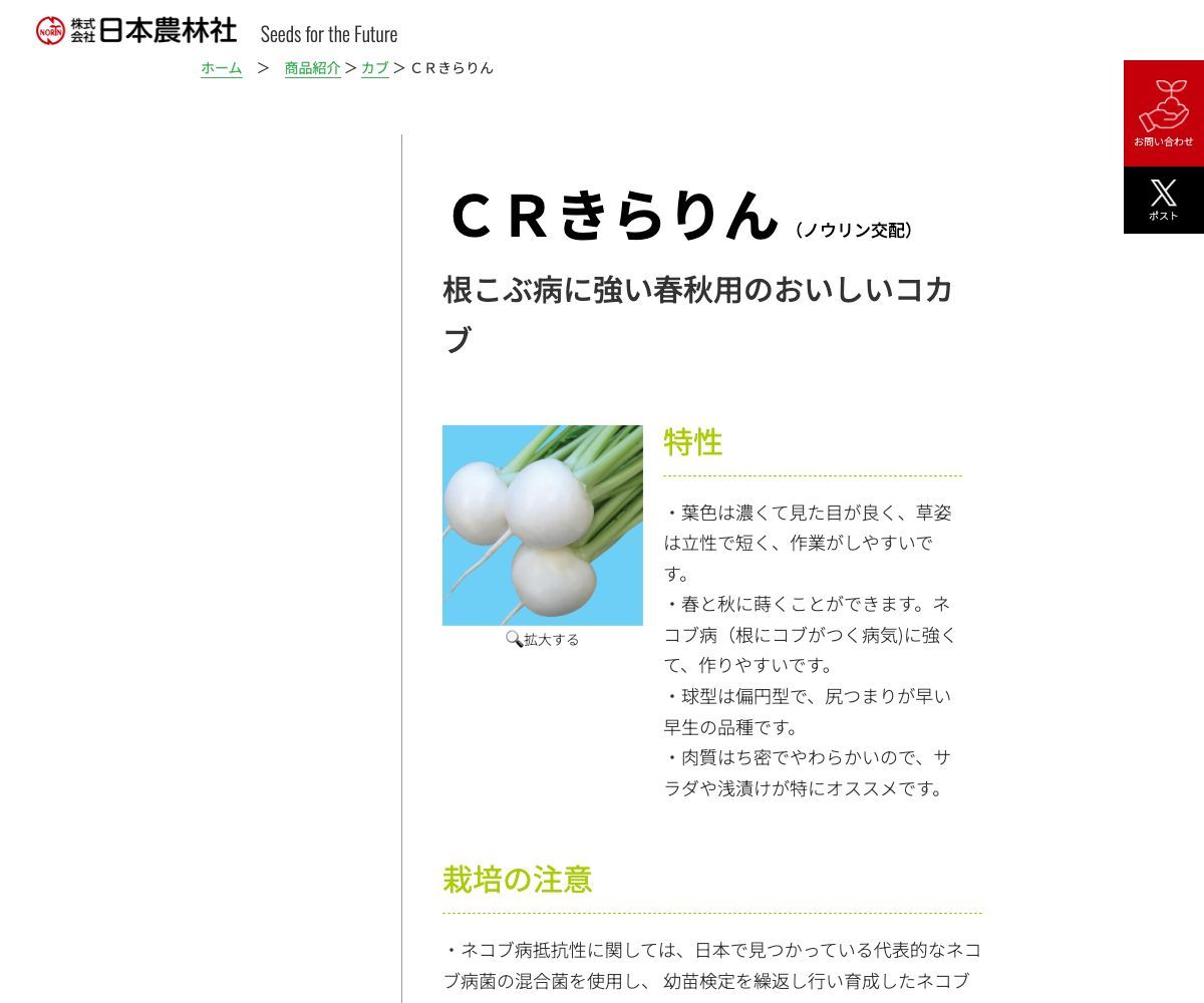 ＣＲきらりん
