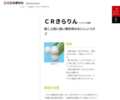 ＣＲきらりんの画像