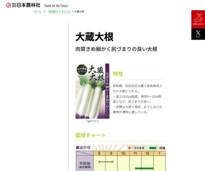 大蔵大根の画像