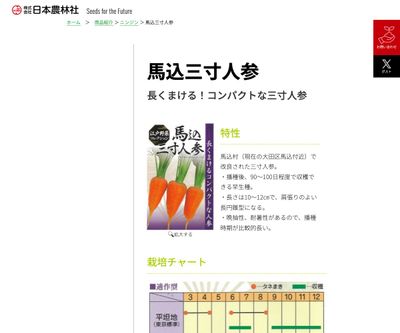 馬込三寸人参の画像
