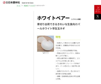 ホワイトベアーの画像