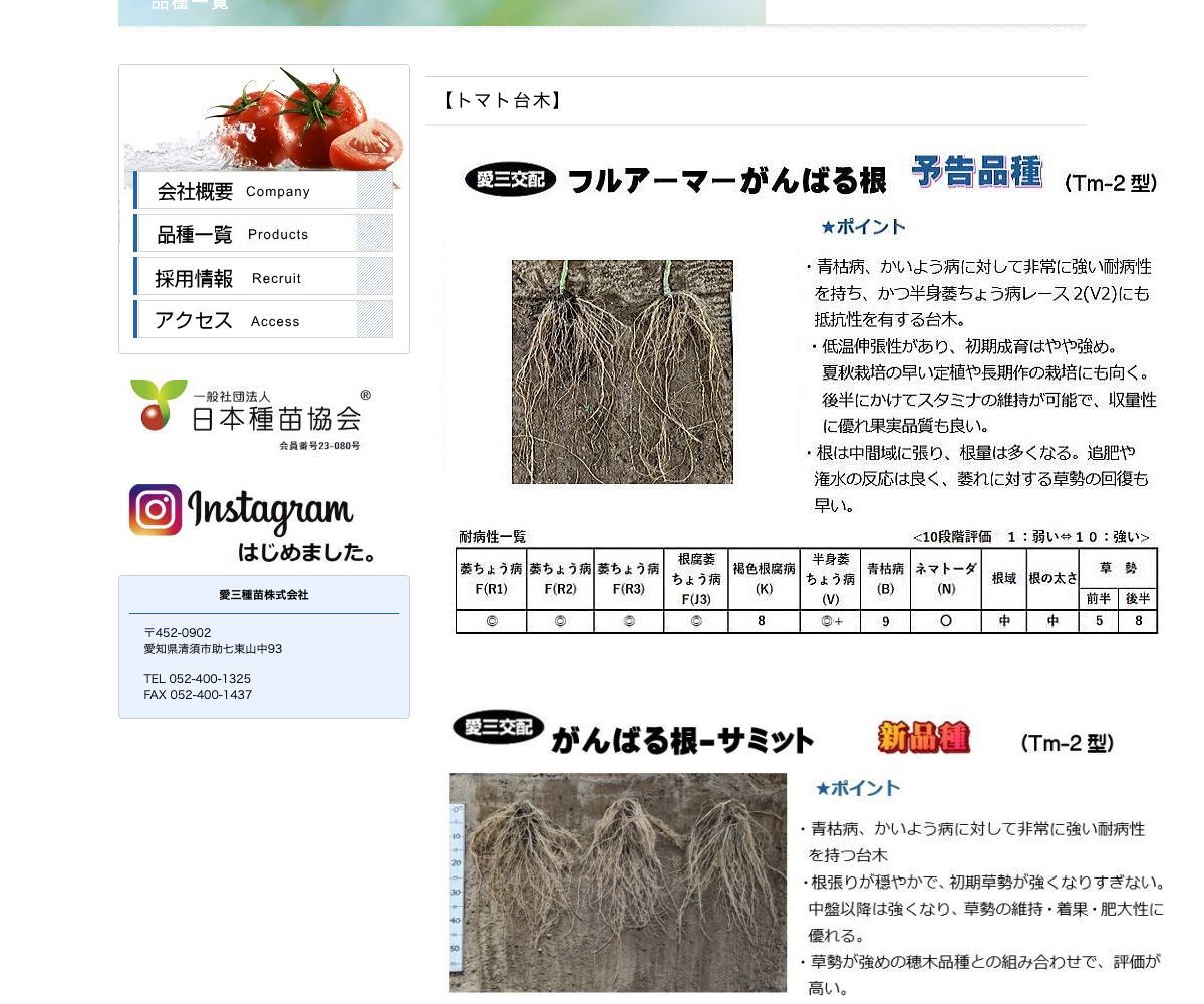 がんばる根-サミット