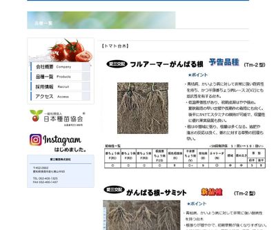 がんばる根-サミットの画像