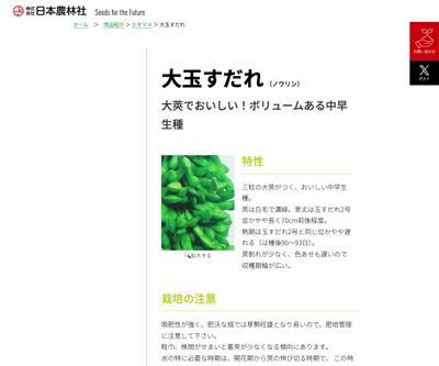 大玉すだれの画像