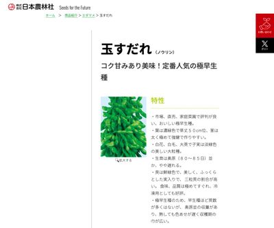 玉すだれの画像