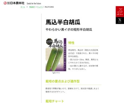 馬込半白胡瓜の画像