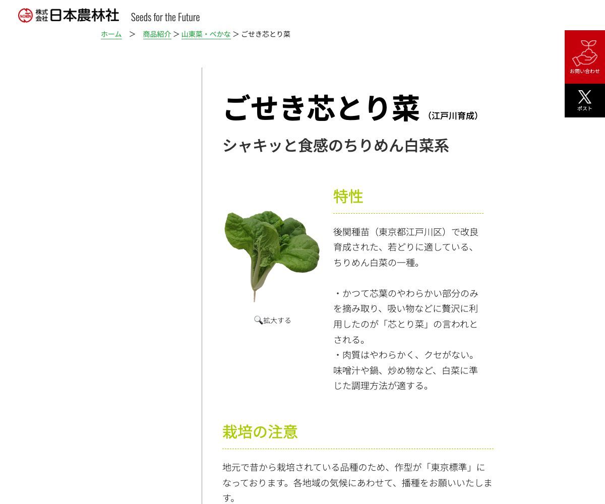 ごせき芯とり菜