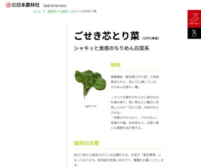 ごせき芯とり菜の画像