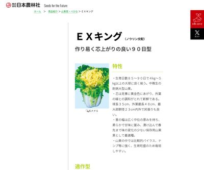 ＥＸキングの画像