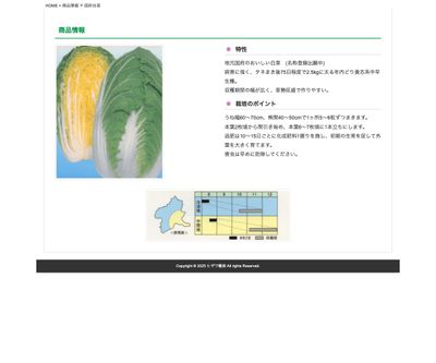 国府白菜の画像