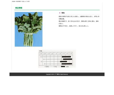 改良しんつみ菜の画像