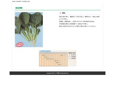 改良黒葉小松菜の画像