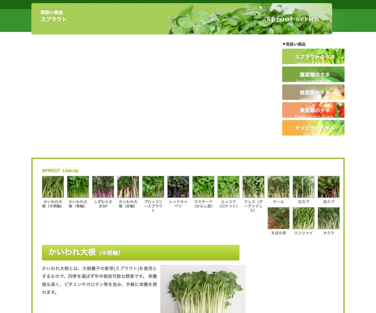 かいわれ大根（中間軸）