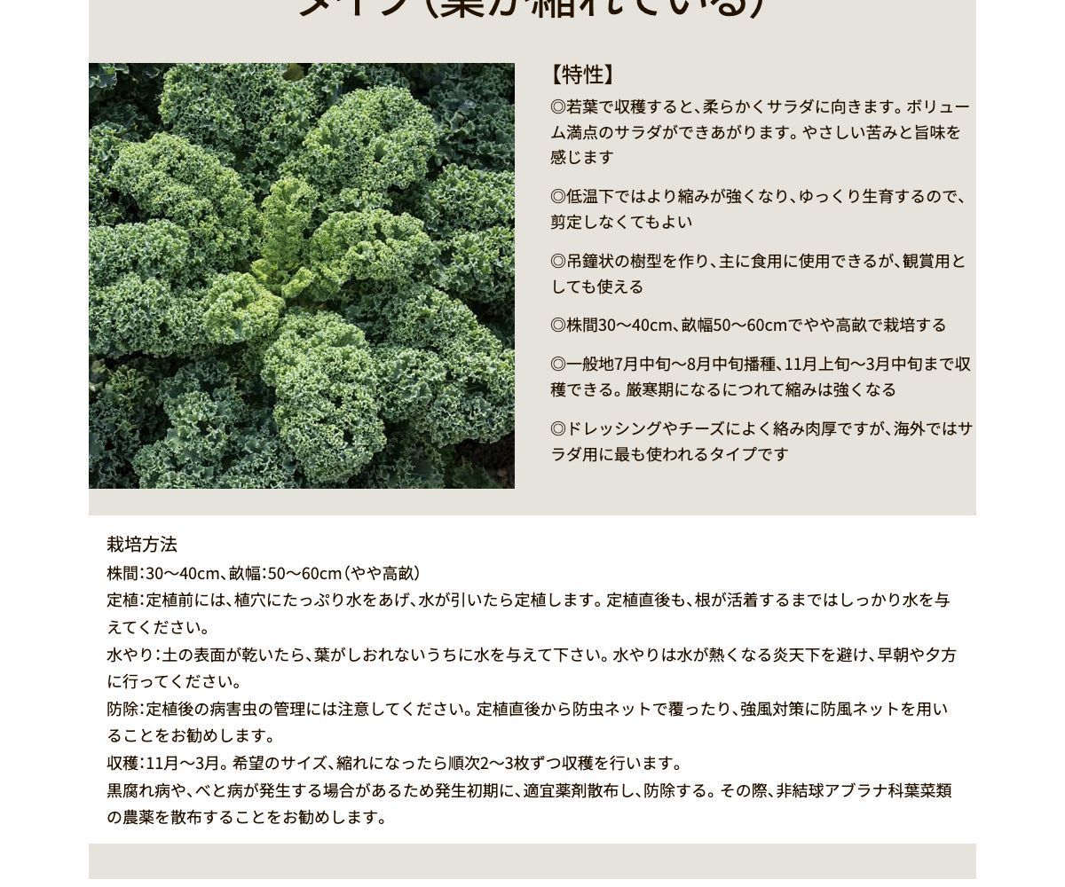 ワイルドキッチン