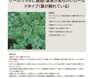 カールドモンローの画像