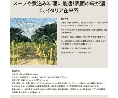 カーボロネロの画像