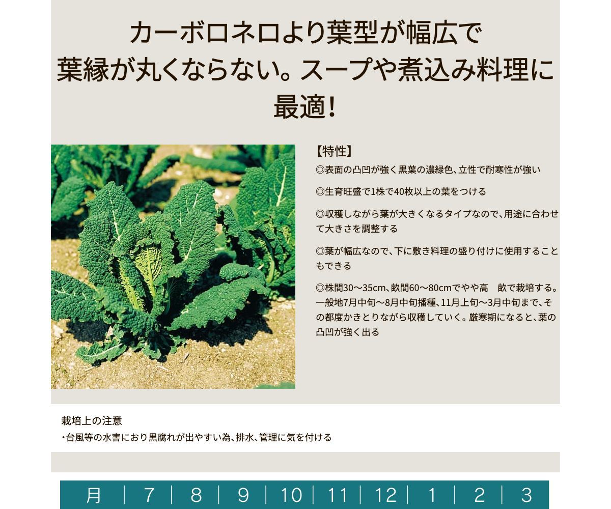 カーボログランリーフ