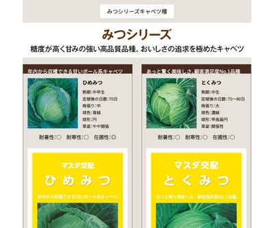 ふゆみつの画像