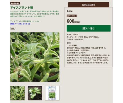 アイスプラントの画像