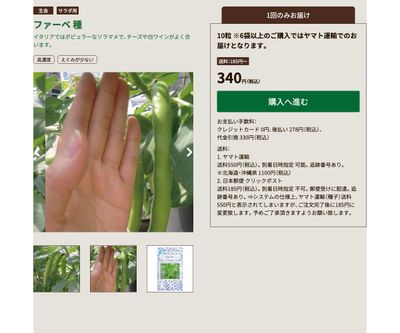 ファーベの画像