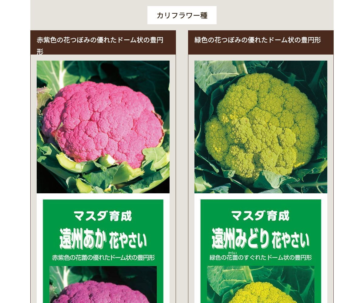 遠州みどり花やさい