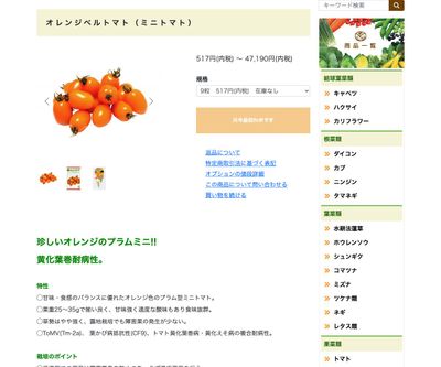 オレンジベルの画像