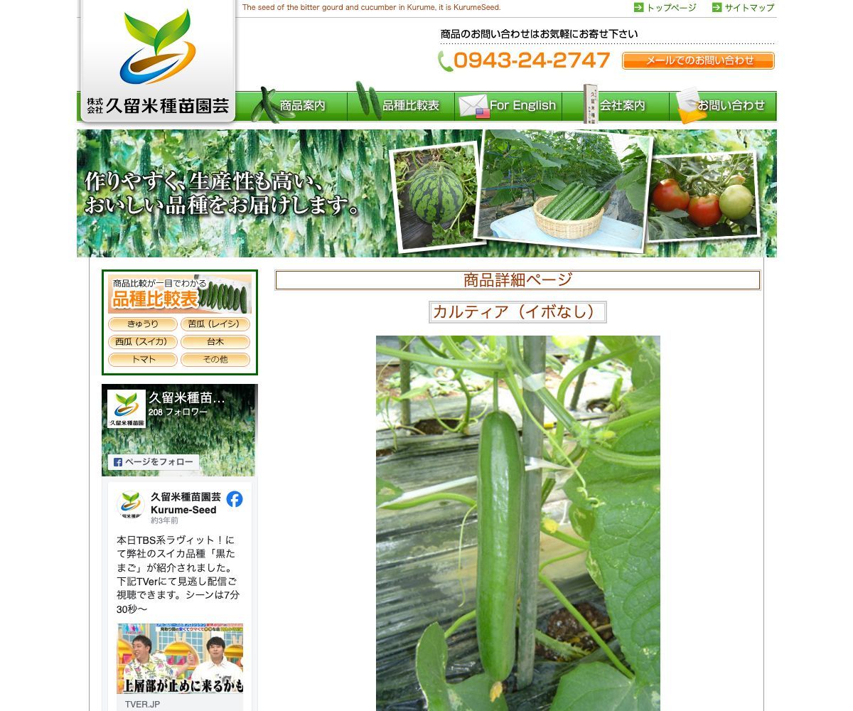 カルティア（イボなし）