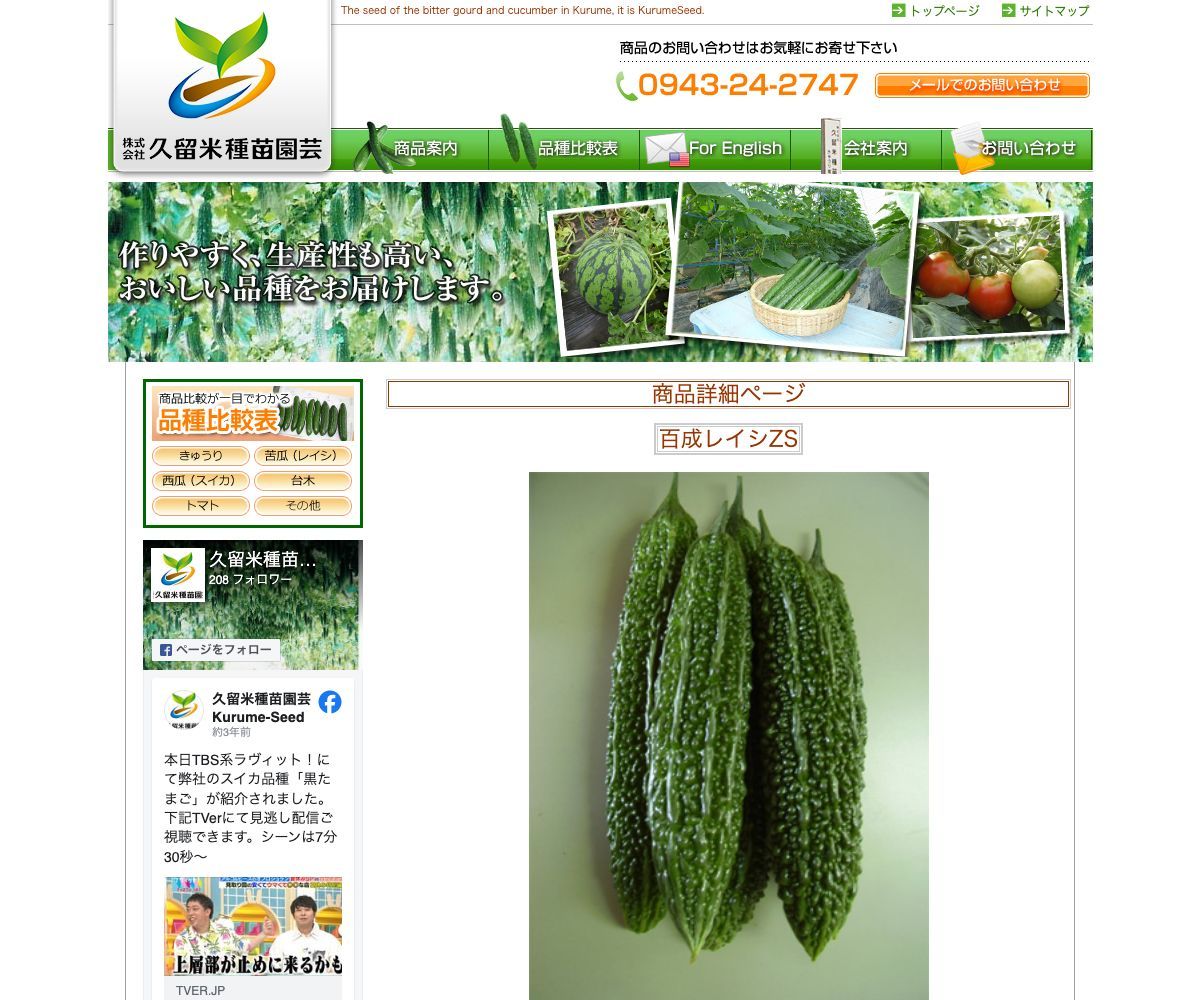 NEW百成レイシZS