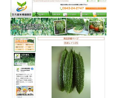 NEW百成レイシZSの画像