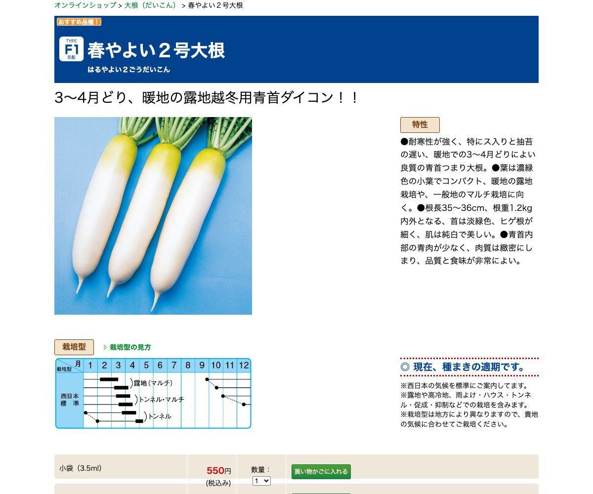 春やよい２号大根